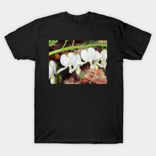 White Bleeding Hearts T-Shirt